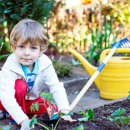 Young boy in garden Young boy in garden