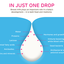 Just One Drop breastfeeding illustration Just One Drop breastfeeding illustration