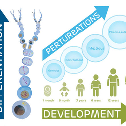 Pediatric Cell Atlas (PCA) illustration Pediatric Cell Atlas (PCA) illustration