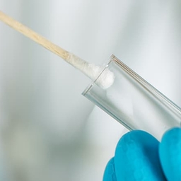 Testing swab Testing swab
