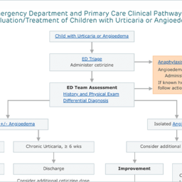 Urticaria or Angioedema Pathway algorithm screenshot