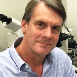 Stewart A. Anderson, MD