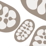 Mitochondrial medicine