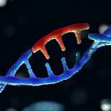 A visual model of DNA double helix editing using CRISPR technology called “prime editing"