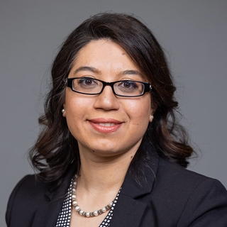 Hamideh Parhiz, PharmD, PhD