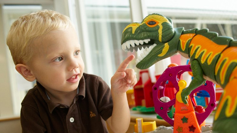 Young Child with Toys Photo