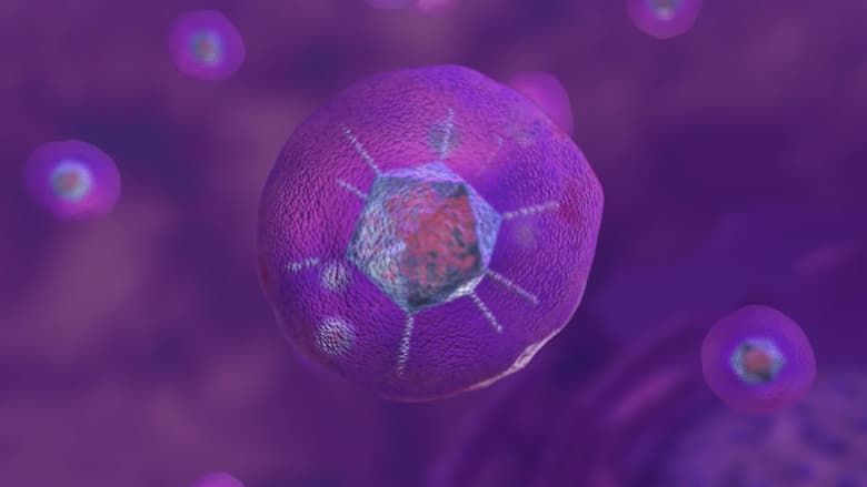 viral vector thumbnail viral vector thumbnail