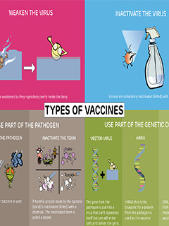 Types of vaccines